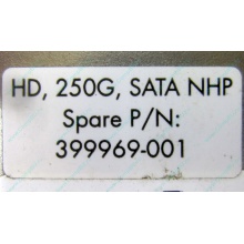 HP 250G 7.2k 432337-001/ 399699-001 / 397377-004 SATA HDD (Казань)