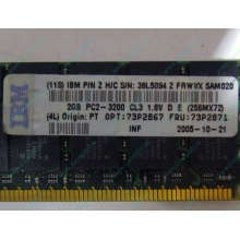 IBM 73P2871 73P2867 2Gb (2048Mb) DDR2 ECC Reg memory (Казань)