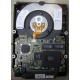 Жесткий диск 18.2Gb IBM Ultrastar DDYS-T18350 Ultra3 SCSI (Казань)