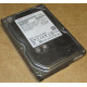 HDD 500Gb Hitachi HDS721050DLE630 донор на запчасти (Казань)