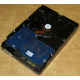 Электроника HDD 500Gb Hitachi HDS721050DLE630 (Казань)