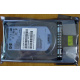 HDD 146.8Gb HP 360205-022 404708-001 404670-002 (Казань)
