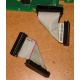 6017B0045701 Шлейф 24pin для Intel C74974-401 T0043401-B01 корпуса SR2400 (Казань)